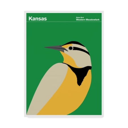 Print Collection - Artist 'Kansas Bird Meadowlark' Canvas Art,24x32